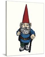 Gnome-Urban Cricket-Stretched Canvas