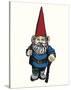 Gnome-Urban Cricket-Stretched Canvas