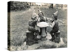 Gnomes Sitting around a Mushroom-null-Stretched Canvas