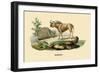 Gnou-E.f. Noel-Framed Premium Giclee Print