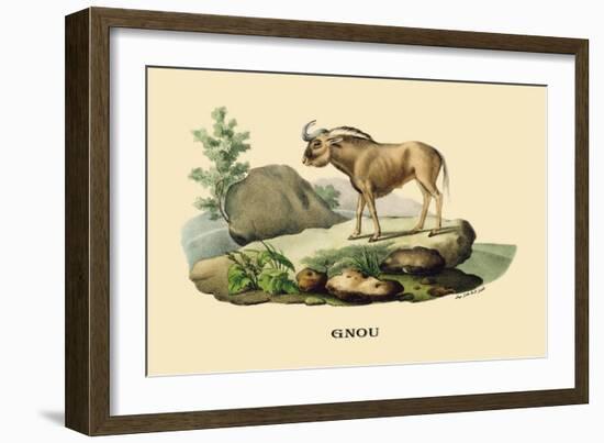 Gnou-E.f. Noel-Framed Art Print