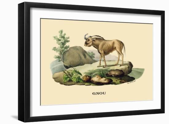 Gnou-E.f. Noel-Framed Art Print