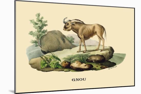Gnou-E.f. Noel-Mounted Art Print