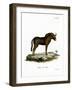 Gnu-null-Framed Giclee Print