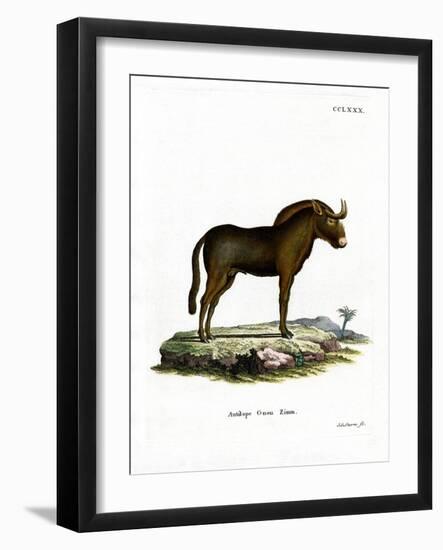 Gnu-null-Framed Giclee Print