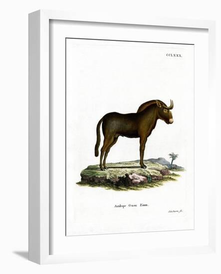 Gnu-null-Framed Giclee Print