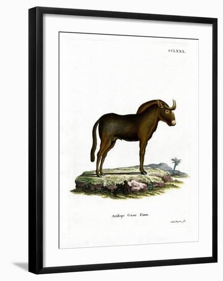 Gnu-null-Framed Giclee Print