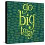 Go Big Today-Robbin Rawlings-Stretched Canvas