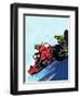 Go-Carting-null-Framed Giclee Print