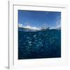 Go Diving?-null-Framed Art Print