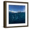 Go Diving?-null-Framed Art Print