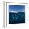 Go Diving?-null-Framed Art Print