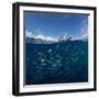 Go diving?-Andrey Narchuk-Framed Photographic Print