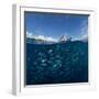 Go diving?-Andrey Narchuk-Framed Photographic Print