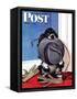 "Go for A Walk?," Saturday Evening Post Cover, October 7, 1944-Albert Staehle-Framed Stretched Canvas