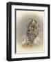 Go for the Gold-Peggy Harris-Framed Premium Giclee Print