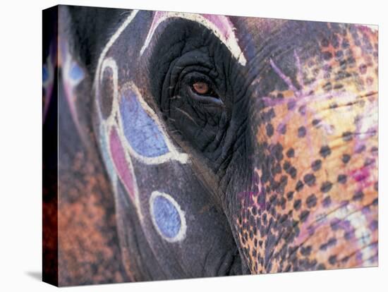 Goa, India, Close-up of Elephants Eye-Peter Adams-Stretched Canvas