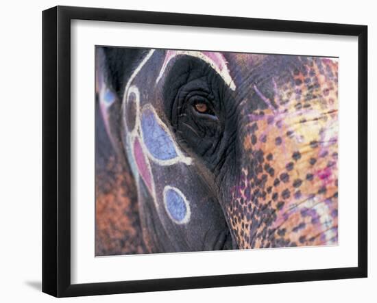 Goa, India, Close-up of Elephants Eye-Peter Adams-Framed Premium Photographic Print