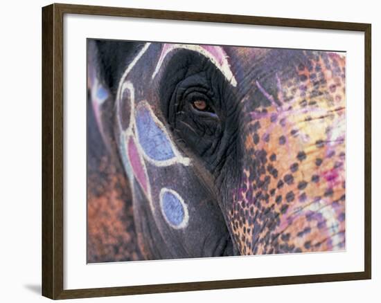 Goa, India, Close-up of Elephants Eye-Peter Adams-Framed Photographic Print