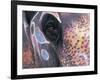 Goa, India, Close-up of Elephants Eye-Peter Adams-Framed Photographic Print