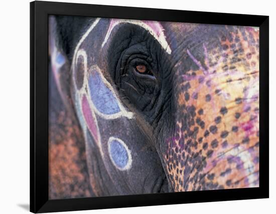 Goa, India, Close-up of Elephants Eye-Peter Adams-Framed Photographic Print