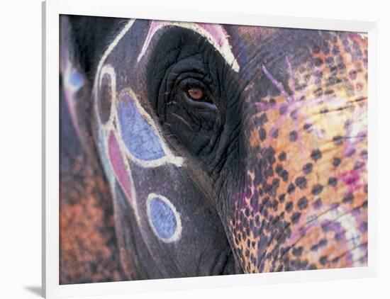 Goa, India, Close-up of Elephants Eye-Peter Adams-Framed Photographic Print