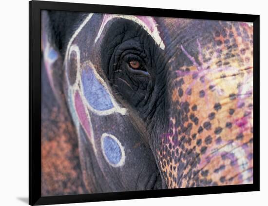 Goa, India, Close-up of Elephants Eye-Peter Adams-Framed Photographic Print