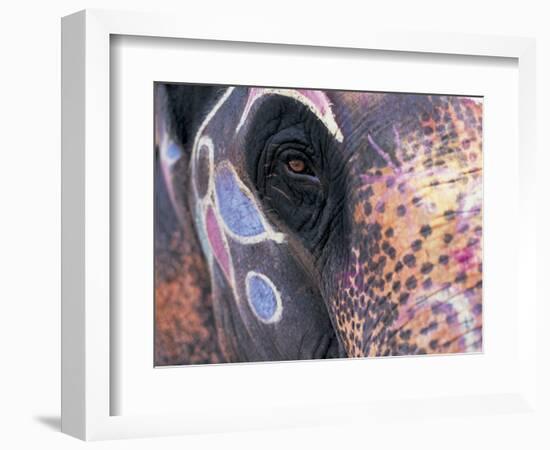 Goa, India, Close-up of Elephants Eye-Peter Adams-Framed Photographic Print