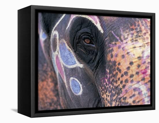 Goa, India, Close-up of Elephants Eye-Peter Adams-Framed Stretched Canvas