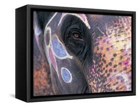 Goa, India, Close-up of Elephants Eye-Peter Adams-Framed Stretched Canvas