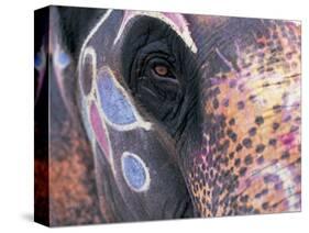 Goa, India, Close-up of Elephants Eye-Peter Adams-Stretched Canvas