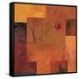 Goa Poppy II-Paul Brent-Framed Stretched Canvas