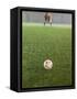 Goalie Anticipating Soccer Kick-David Madison-Framed Stretched Canvas