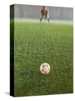 Goalie Anticipating Soccer Kick-David Madison-Stretched Canvas