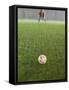 Goalie Anticipating Soccer Kick-David Madison-Framed Stretched Canvas