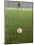 Goalie Anticipating Soccer Kick-David Madison-Mounted Photographic Print