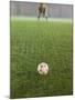 Goalie Anticipating Soccer Kick-David Madison-Mounted Photographic Print