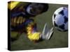 Goalie Attempting to Stop a Soccer Ball-null-Stretched Canvas