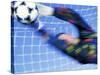 Goalie Attempting to Stop a Soccer Ball-null-Stretched Canvas