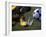 Goalie Attempting to Stop a Soccer Ball-null-Framed Photographic Print