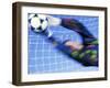 Goalie Attempting to Stop a Soccer Ball-null-Framed Photographic Print