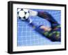 Goalie Attempting to Stop a Soccer Ball-null-Framed Premium Photographic Print