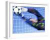 Goalie Attempting to Stop a Soccer Ball-null-Framed Premium Photographic Print