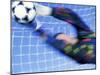 Goalie Attempting to Stop a Soccer Ball-null-Mounted Premium Photographic Print