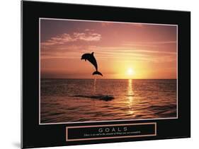 Goals - Dolphin-Unknown Unknown-Mounted Photo