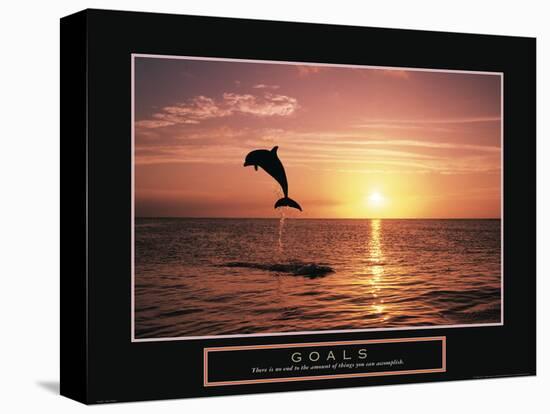 Goals - Dolphin-Unknown Unknown-Stretched Canvas