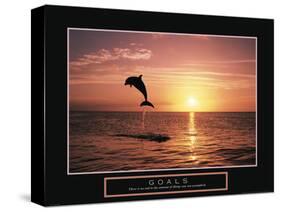 Goals - Dolphin-Unknown Unknown-Stretched Canvas