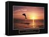 Goals - Dolphin-Unknown Unknown-Framed Stretched Canvas