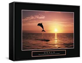 Goals - Dolphin-Unknown Unknown-Framed Stretched Canvas