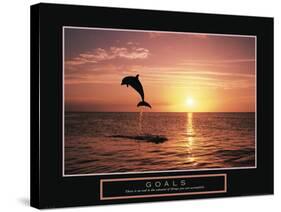 Goals - Dolphin-Unknown Unknown-Stretched Canvas